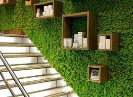 Going Natural With Moss Walls In Commercial Interior Design Mindful Design Consulting Garden Wall Designs Moss Wall Green Wall Decor
