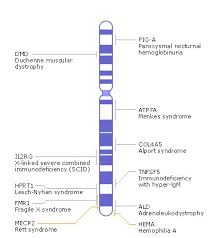 Chromosome Map Genes And Disease Ncbi Bookshelf