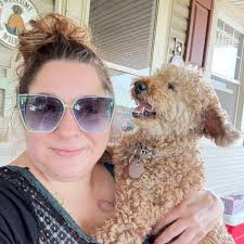 Golden doodle before and after grooming