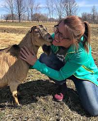 Maybe you would like to learn more about one of these? What Goats Can T Eat Around Your Homestead Including Table Scraps