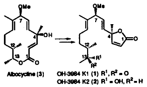 Relative and absolute stereochemistry of the melanogenesis inhibitors  OH-3984 K1 and K2. Partial synthesis from albocycline