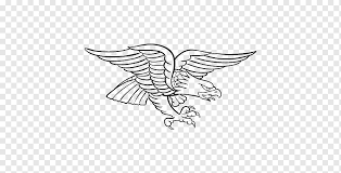 Interesting facts about harpy eagle. Bald Eagle Coloring Book Bird Harpy Eagle Eagle White Child Animals Png Pngwing
