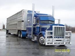 Pin On Bull Haulers Cowhaulers Livestock Haulin