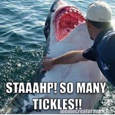 Funny Shark Memes Daily Funny Pictures Pics Photos Images And Gifs Shark Week Memes Sharks Funny Shark Jokes