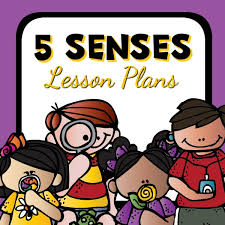 Add a little cinnamon or pumpkin pie spice to the salt and your room will smell amazing. 20 Fun Ideas For Exploring The Sense Of Smell