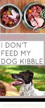 Service Unavailable Dog Food Recipes Raw Feeding For Dogs Raw Dog Food Diet
