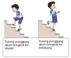 We did not find results for: Materi Sekolah Gangguan Atau Kelainan Sistem Organ Insan Halaman 181 Materi Sekolah Indonesia