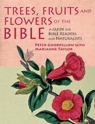 We did not find results for: Trees Fruits Flowers Of The Bible By Peter Goodfellow Marianne Taylor Waterstones