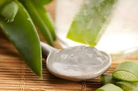 فوائد زيت الصبار للشعر صحتك اليوم Aloe Vera Dry Skin Remedies Aloe Vera Gel