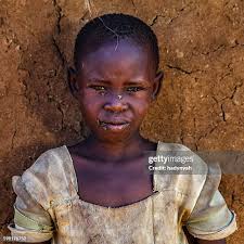 917 Bugs Tribe Stock Photos, High-Res Pictures, and Images