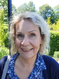 Därför syntes bisvärm vid Nordstan