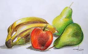 Himpunan gambar mewarna buah buahan tempatan yang power dan boleh. Lukisan Buah Buahan Tempatan Cikimm Com