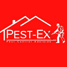 Pest ex is the uk's trade & conference exhibition for the pest control industry, which is held at the excel exhibition centre in london. Pest Ex Adelaide Pestexadelaide Twitter