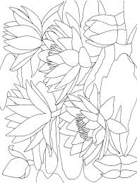 School's out for summer, so keep kids of all ages busy with summer coloring sheets. Water Lily Coloring Pages Coloring Pages For Grown Ups Coloring Pages Flower Coloring Pages