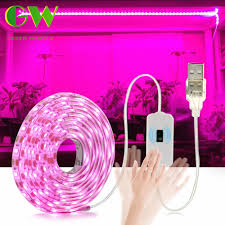 Check spelling or type a new query. Led Grow Light Full Spectrum Usb Grow Light Strip 0 5m 1m 2m 3m 2835 Smd Dc5v Led Phyto Tape For Seed Plants Flowers Greenhouses Growing Lamps Aliexpress