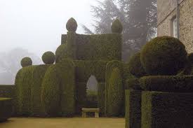Buissons Et Haies Sculptees Dans Les Jardins Du Chateau De La Ballue With Images Greek Garden Gorgeous Gardens French Garden