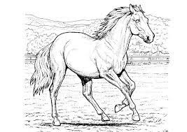 Word pour microsoft 365 word pour. Image En Coulere Cheval Au Pat A Imprimer Gratuit Cmyk Couleur Aquarelle Fond Cheval Cmyk Aquarelle Cheval Image De Fond Pour Le Telechargement Gratuit Maybe You Would Like To Learn