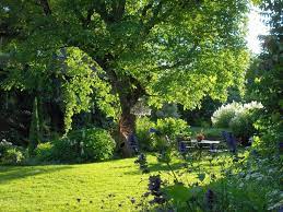 Nehmen sie sich am besten zu anfang etwas zeit und schreiben sie alles, was ihnen in den kopf kommt, auf. Grosser Parkahnlicher Garten Mit Altem Baumbestand Und Vielen Besonderen Geholzen Verschiedene Farblich Gestaltete Stau Garten Brunnen Garten Gartengestaltung