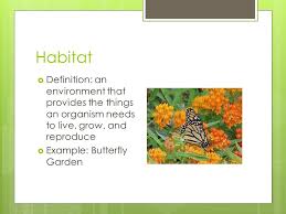 Jun 13, 2017 · critical habitat under the endangered species act. Science Ecology Review Terms Ppt Video Online Download