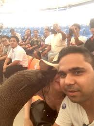 elsa monteiro (@elsamonty)