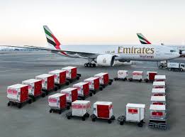 Emirates Revels In Record Profits But Cargo Yield On The Slide Emirates Airline Dubai World Emirates