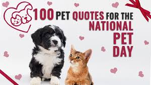 National puppy day is an unofficial holiday that takes place every year on march 23. 100 Awesome Pet Quotes For The National Pet Day Petmoo