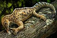 Drepanosaurus: Triassic Reptile Had Huge Claw | Sci.News