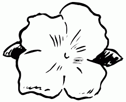 39+ hawaiian flower coloring pages for printing and coloring. Hawaiian Flower Coloring Pages Coloring Home