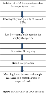 figure 1 from application of dna fingerprinting tools for