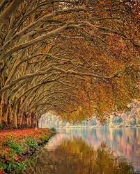 Janistraum Baldeneysee In Essen World Photography Landscape Nature