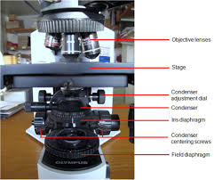 You need to find the perfect balance between contrast and the total image size and brightness you will get. How Kohler Illumination Can Help You See The Light