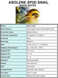 Quick Notes About Asolene Spixi Snail Water Parameters In 2020 Snail Apple Snail Quick