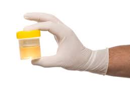 Check spelling or type a new query. Does A Dot Physical Include A Drug Test Same Day Dot Physicals Drug Alcohol Testing Call 615 452 1575 Tennessee