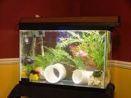 Pin On Fish Tanks
