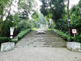 The Beauty Of Bukit Batok Nature Park Review Of Bukit Batok Nature Park Singapore Singapore Tripadvisor