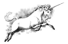 Image result for unicorn