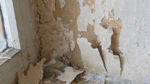 Peeling back the years | peeling wallpaper, wallpaper. Man Peeling Old Wallpaper With Special Spatula Yellow Decrepit Wallpaper On The Wall Home Repair Close Up Video By C Milkare Stock Footage 221194314