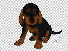Favorite this post apr 3 puppy $40 pic hide this posting restore restore this posting. Dog Breed Black And Tan Coonhound Puppy Dachshund Bluetick Coonhound Png Clipart Animals Beagle Black And