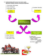 Pecutan Upsr Nota Padat Ulangkaji Sains Tahun 4 Tahun 6 Study Materials Map Study