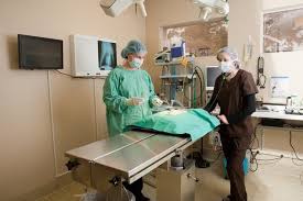 Canyon country veterinary hospital aspires to be a practice where as a team; Canyon Pet Hospital 47 Photos 130 Reviews Veterinarians 1054 E Old Canyon Ct Flagstaff Az Phone Number