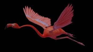 Flamingo Flying 3d Model In 2020 3d Model Things To Sell Render Image