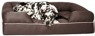 Looking for large dog beds cheap and extra large dog beds cheap? China Petfusion Removable Easy To Clean Large Dog Bed W Solid 4 Memory Foam Material China Doggy Beds And Cheap Dog Beds Large Dogs Price