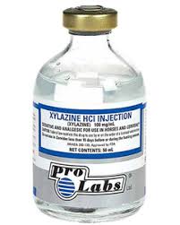 We did not find results for: Dormosedan Gel 3 Ml Farmvet