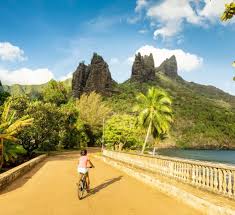 Image result for Marquesia