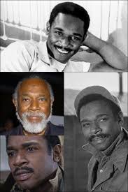 Ivan Dixon Directed 13 Episodes Of Magnum P.I.