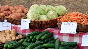 All'efsa i tirocinanti hanno l'opportunità di partecipare attivamente alle nostre attività e di conoscere il sistema europeo di sicurezza alimentare in generale, un'esperienza questa che può trasformarsi in un trampolino di lancio per la loro carriera professionale. Gestione Della Sicurezza Alimentare Pubblicate Le Linee Guida Ue
