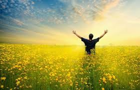 Resultado de imagen de liberacion emocional