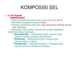 Pdf | indonesia dikaruniai keanekaragaman hayati dan tingkat endemisitas yang sangat tinggi. Komponen Sel Dr Prategrini Purwendahsricahyaprihatin Sucifaalinda Ppt Download