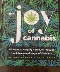 Playing by Melanie Abrams