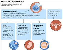 Overview Of Fertilisation Options For Couples With Oi Risk Ivf In Download Scientific Diagram